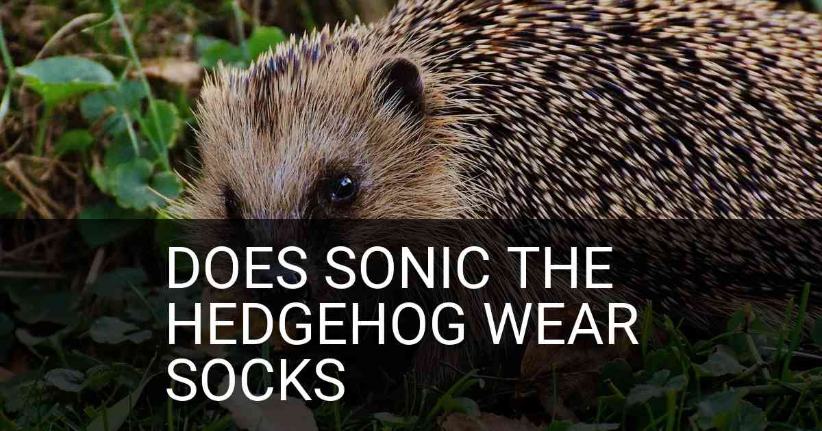 Does Sonic The Hedgehog Wear Socks