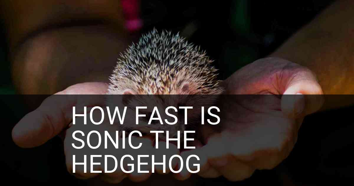 How Fast Is Sonic The Hedgehog