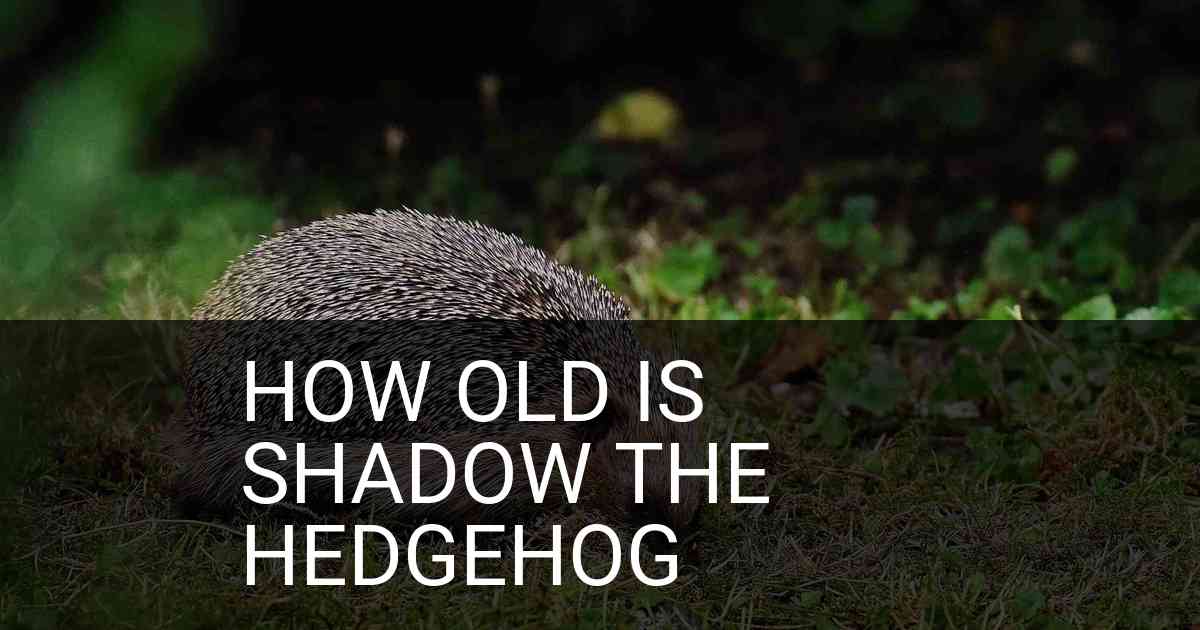 How Old Is Shadow The Hedgehog