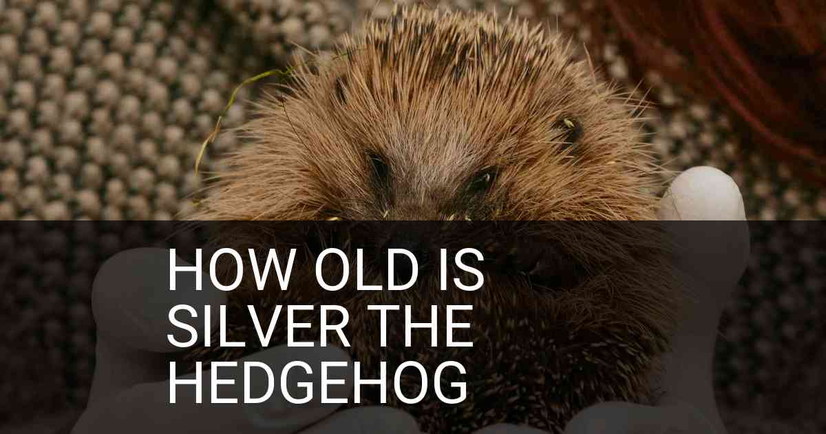 How Old Is Silver The Hedgehog