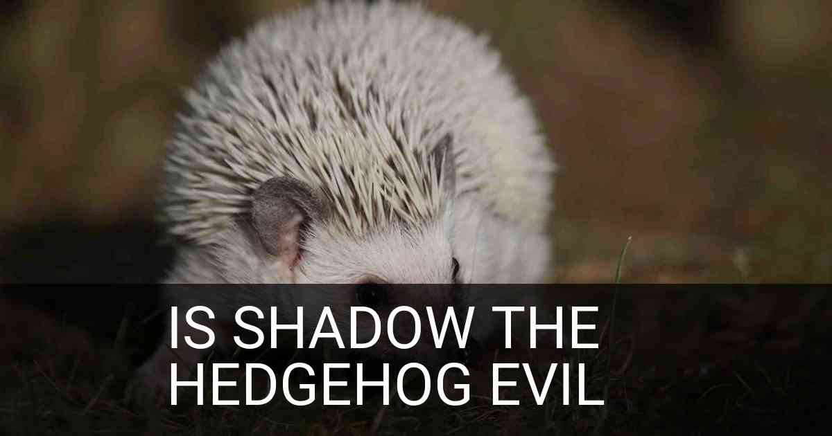 Is Shadow The Hedgehog Evil