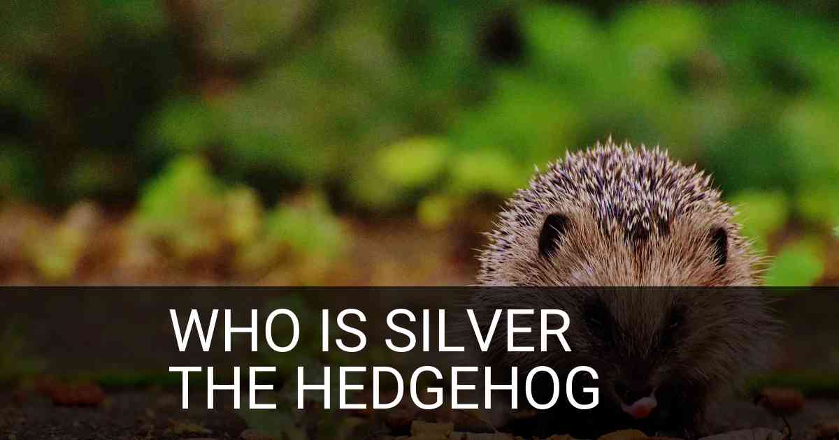 Who Is Silver The Hedgehog