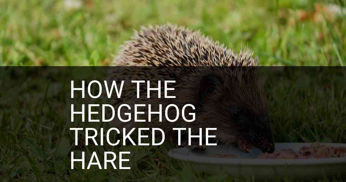 How The Hedgehog Tricked The Hare