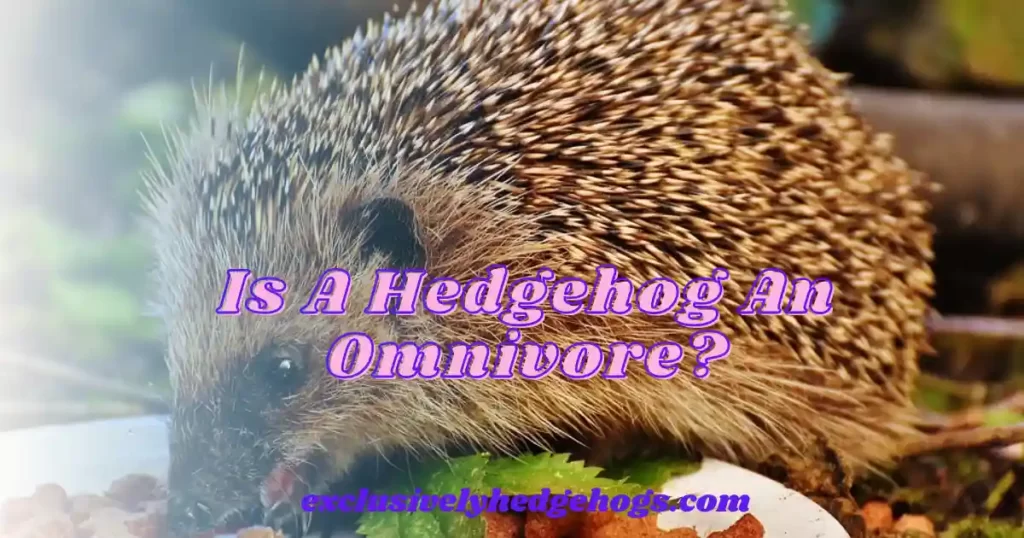 Is A Hedgehog An Omnivore