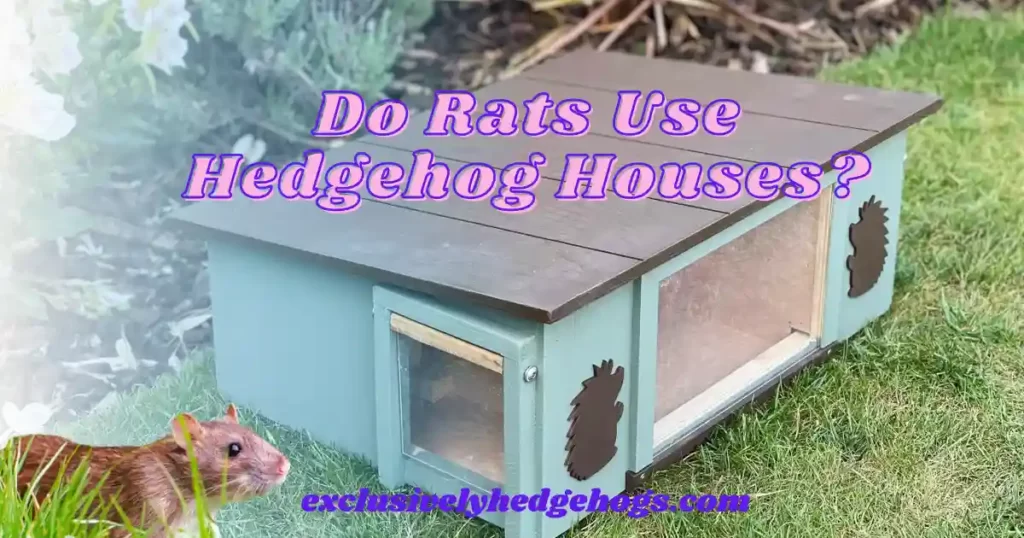 Do Rats Use Hedgehog Houses