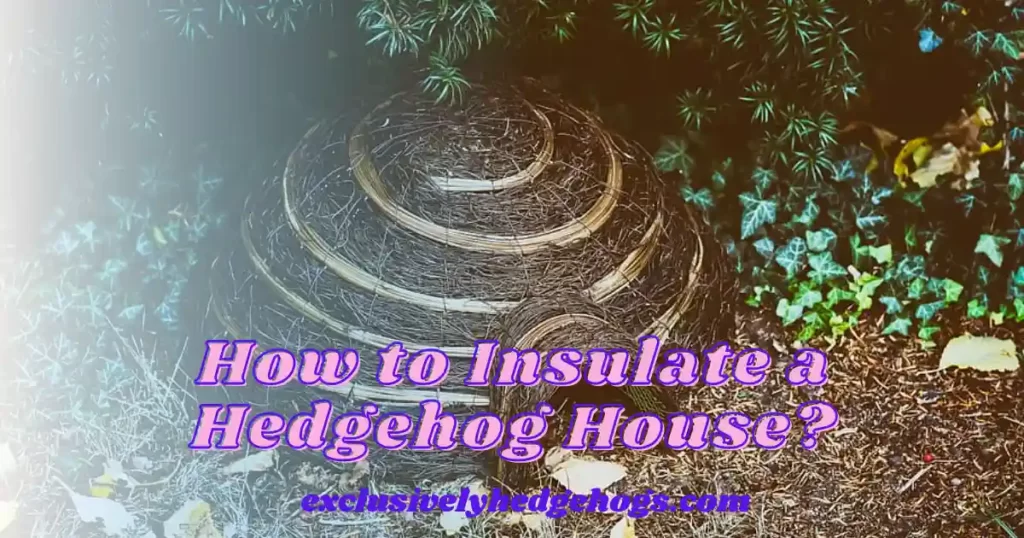 How to Insulate a Hedgehog House